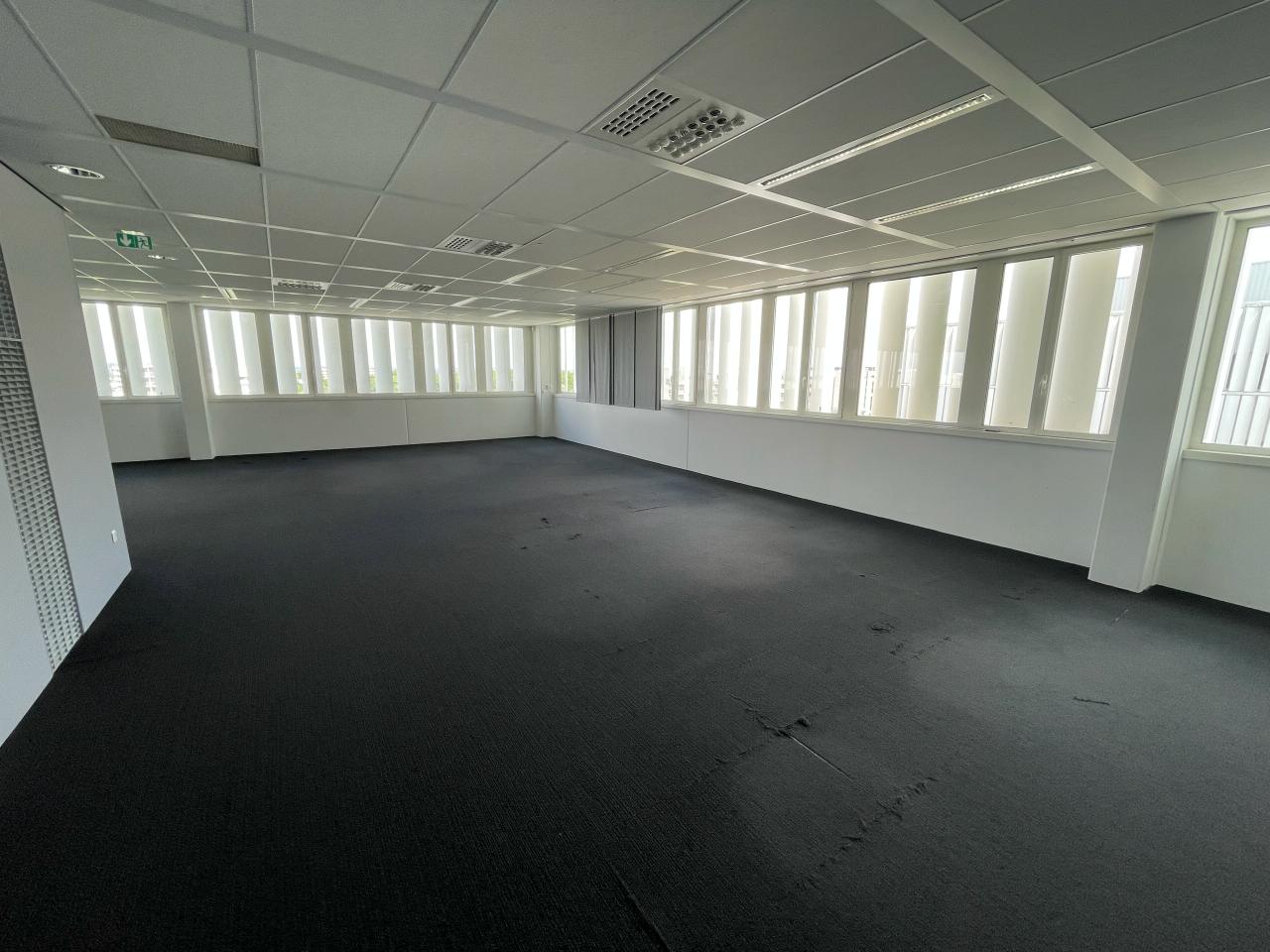 Bureau Blagnac 7981m² Location bureau Blagnac Haute-Garonne OLBUR2108339 6